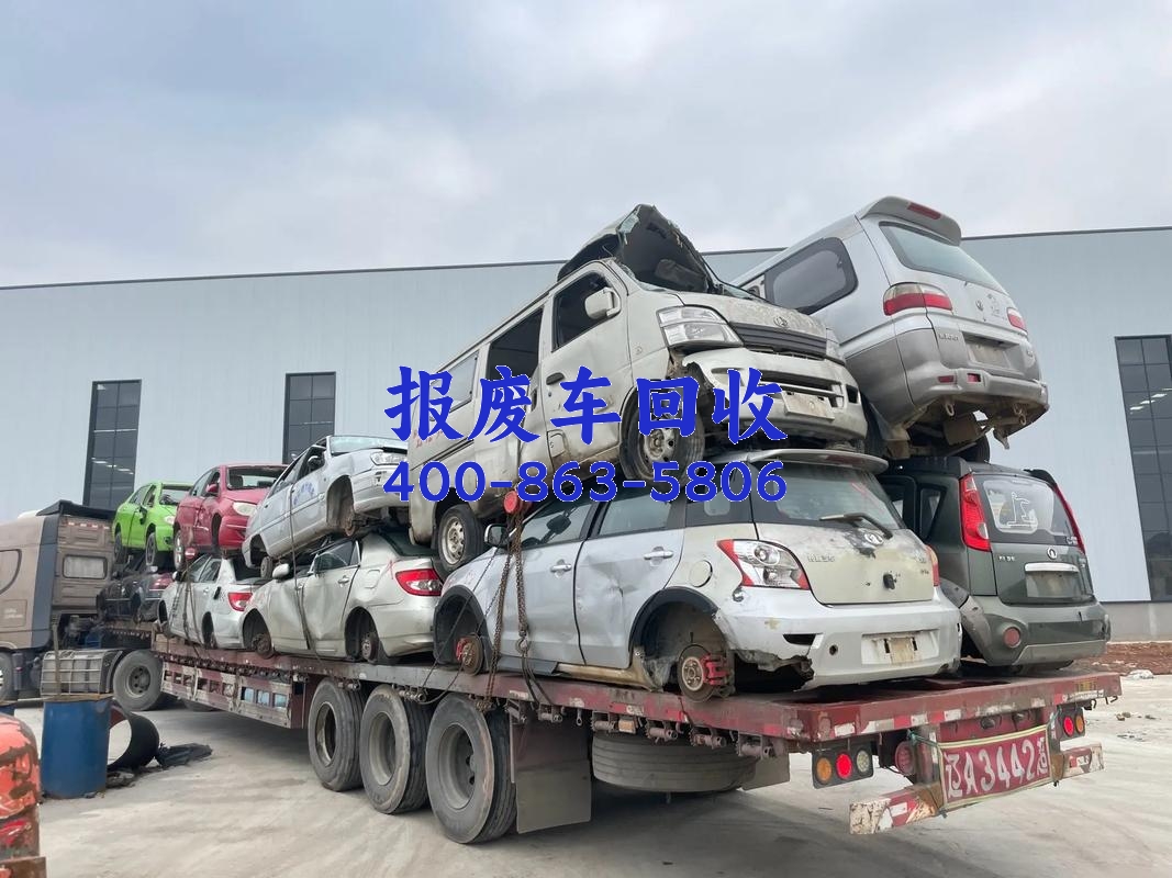 图片48 图片48